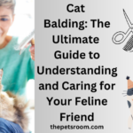 Cat Balding: The Ultimate Guide to Understanding and Caring for Your Feline Friend