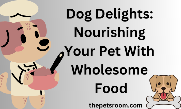 Dog Delights: Nourishing Your Pet With Wholesome Food