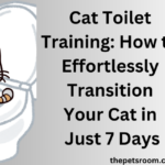 Cat Toilet Training: How to Effortlessly Transition Your Cat in Just 7 Days