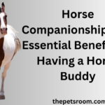 Horse Companionship: The Essential Benefits of Having a Horse Buddy