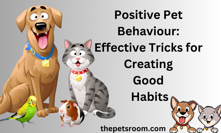 Positive Pet Behaviour