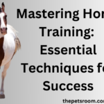 Mastering Horse Training: Essential Techniques for Success