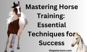 Mastering Horse Training: Essential Techniques for Success