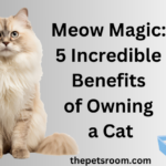 Meow Magic: 5 Incredible Benefits of Owning a Cat