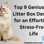 Top 9 Genius Cat Litter Box Designs for an Effortless, Stress-Free Life