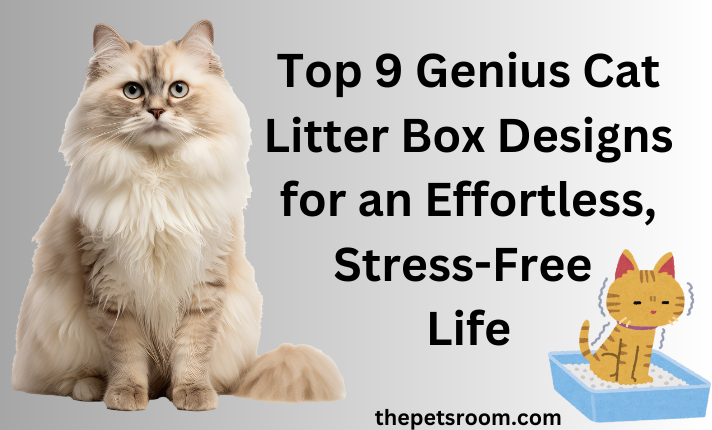 Top 9 Genius Cat Litter Box Designs for an Effortless, Stress-Free Life