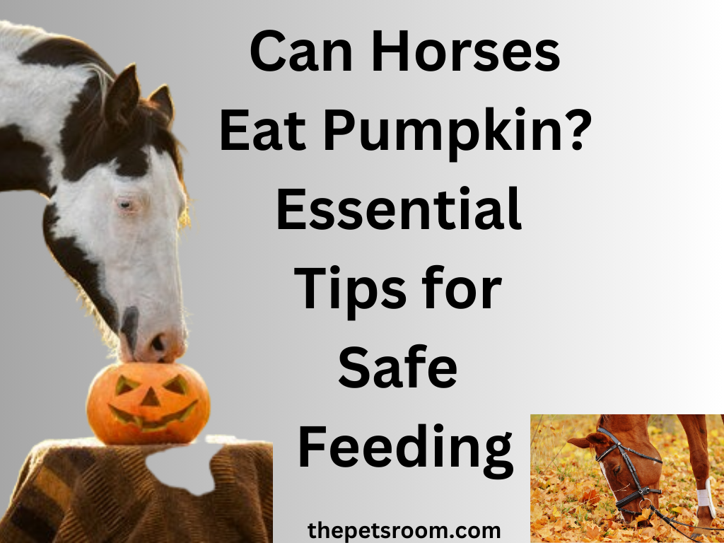 Can Horses Eat Pumpkin? Essential Tips for Safe Feeding