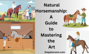 Natural Horsemanship: A Guide to Mastering the Art