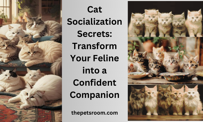 Cat Socialization Secrets: Transform Your Feline into a Confident Companion