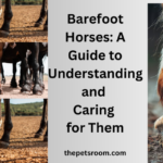 Barefoot Horses: A Guide to Understanding and Caring for Them