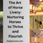 The Art of Horse Livery: Nurturing Horses to Thrive and Flourish