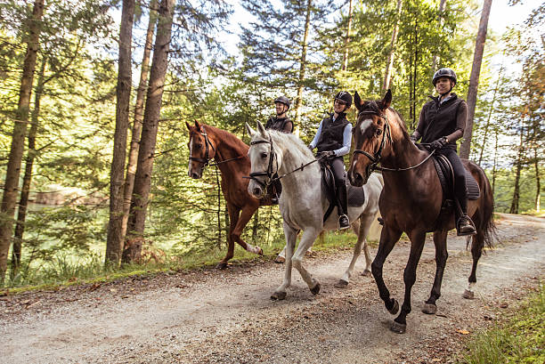 Horse Riding Techniques