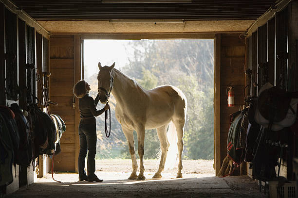 Horse Livery