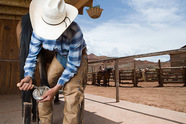 Horse Hoof Trimming Tools: Essential Equipment for Optimal Hoof Health