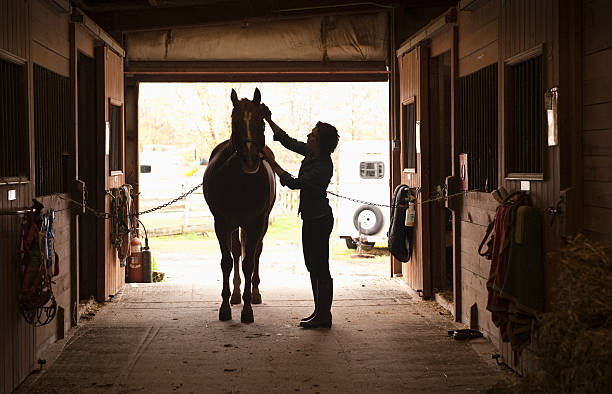 Horse Livery