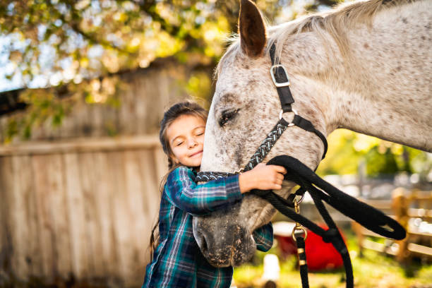 Horse Companionship: The Essential Benefits of Having a Horse Buddy