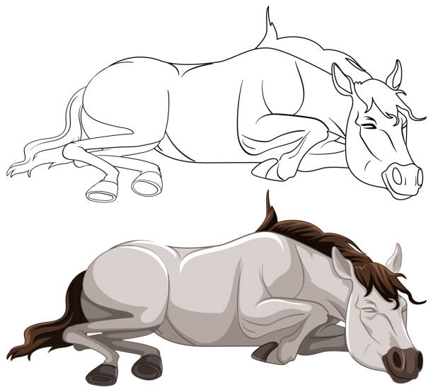 Why Do Horses Lie Down: Uncovering The Reasons