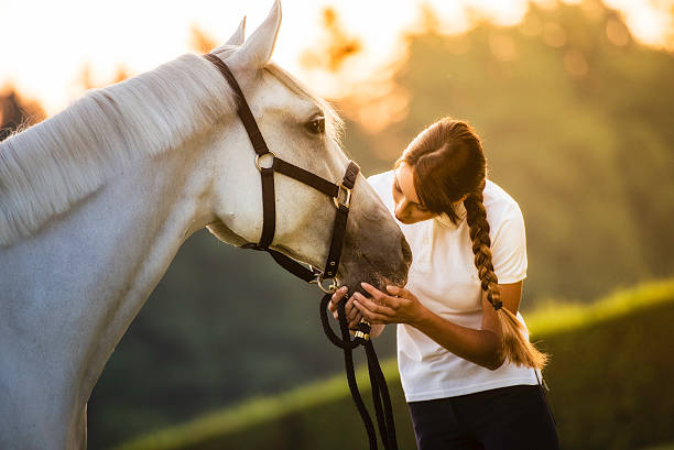 Horse Companionship