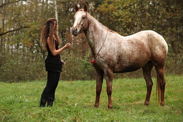 Natural Horsemanship