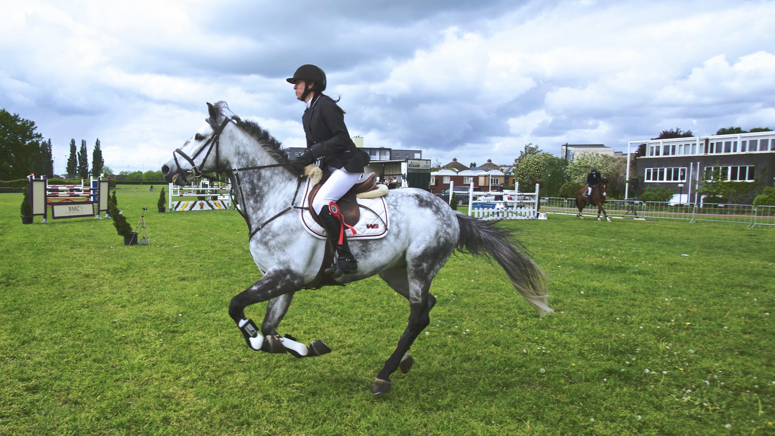 Natural Horsemanship