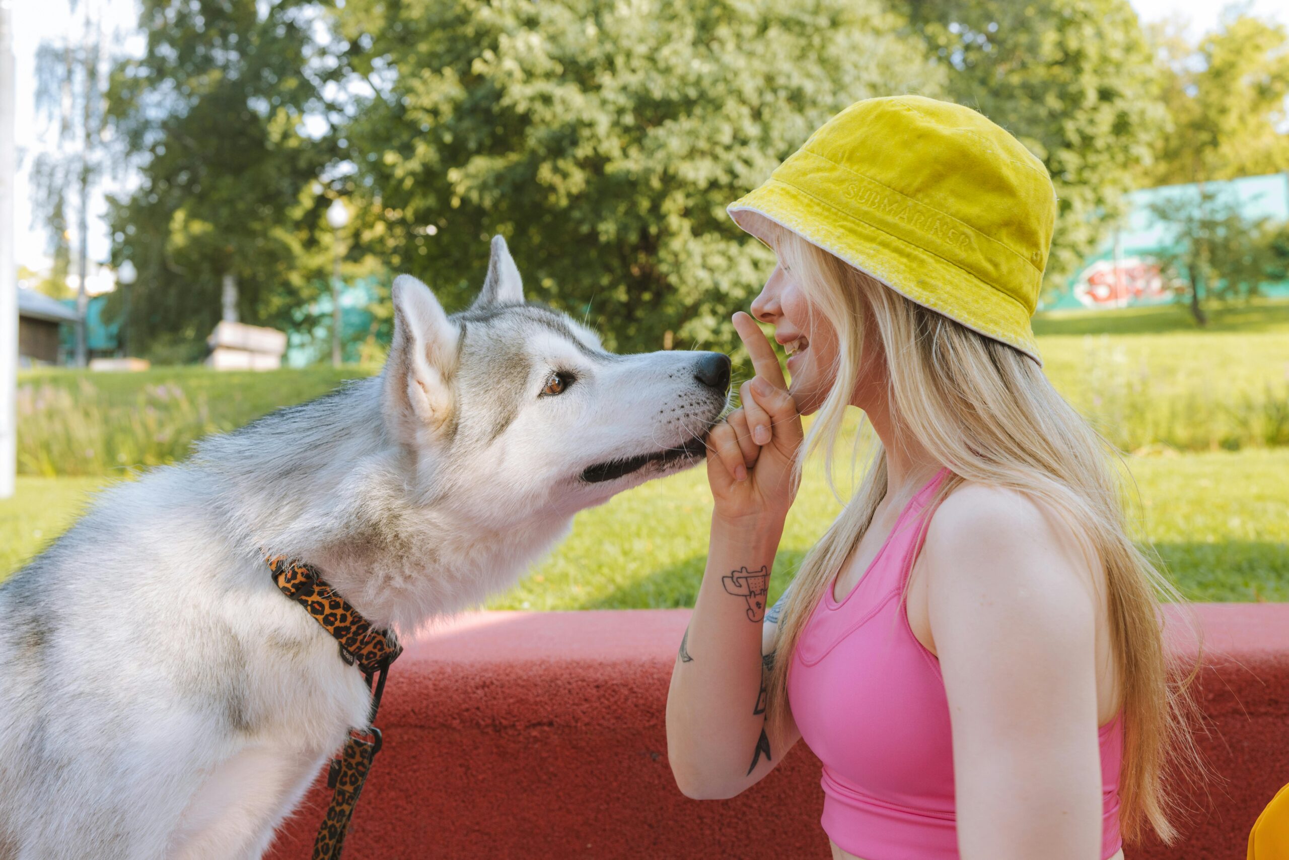 positive pet behaviour