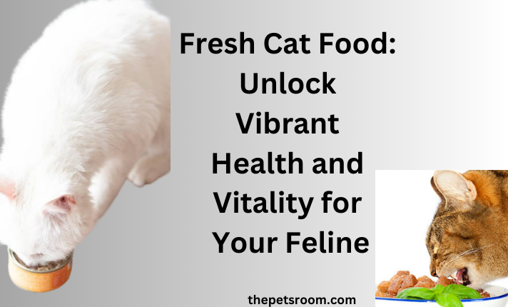 Fresh Cat Food: Unlock Vibrant Health and Vitality for Your Feline