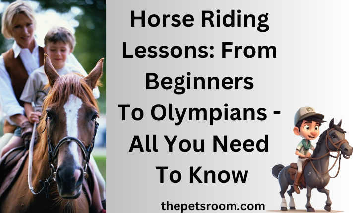 Horse Riding Lessons: From Beginners To Olympians - All You Need To Know