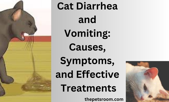 Cat Diarrhea