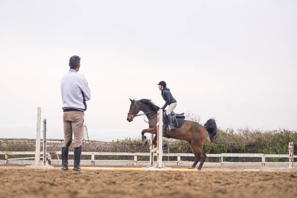 Horse Riding Lessons: From Beginners To Olympians - All You Need To Know