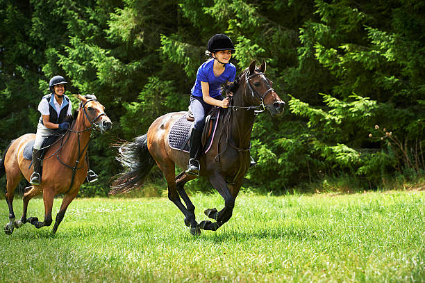 Horse Riding Lessons