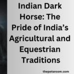 Indian Dark Horse: The Pride of India’s Agricultural and Equestrian Traditions