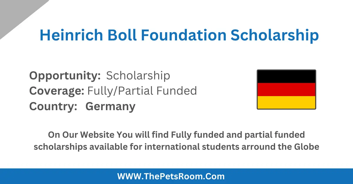Heinrich Boll Foundation Scholarships 2026 | Fully Funded - ThePetsRoom